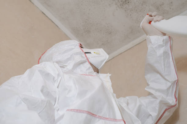 Best Crawl Space Mold Removal  in Tarkio, MO