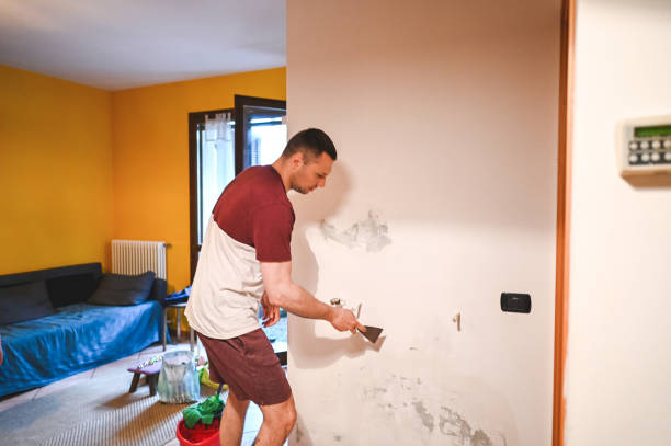 Best Attic Mold Removal  in Tarkio, MO